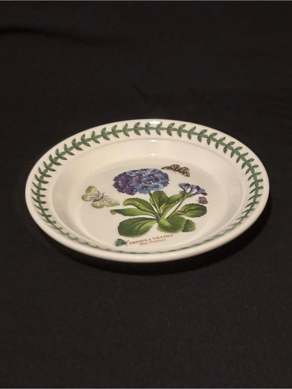 Portmeirion Botanic Garden Primula Villosa 7” Side Plate